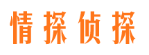 蒸湘市侦探公司